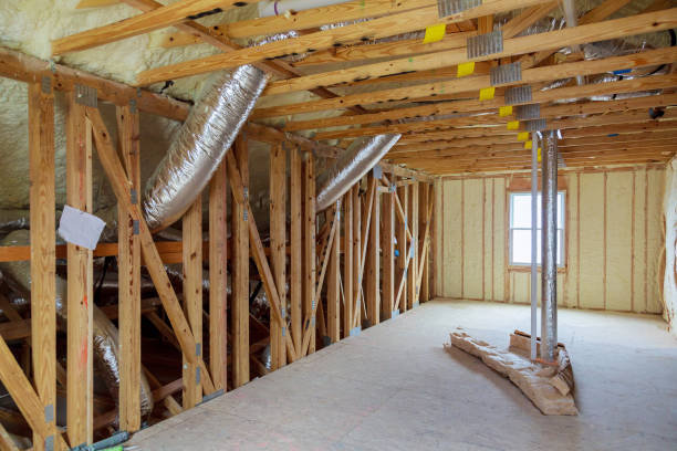 Types of Insulation We Offer in Lake Mary, FL