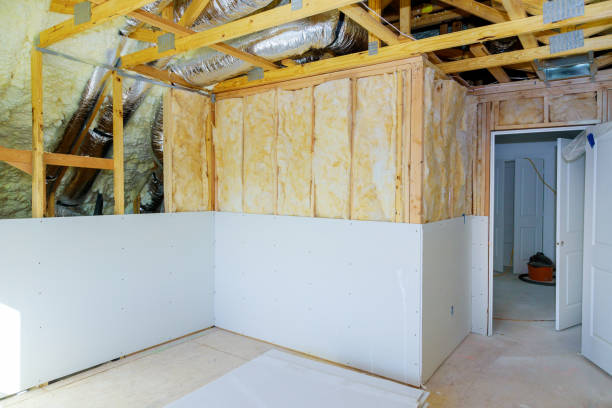 Best Eco-Friendly Insulation in Lake Mary, FL
