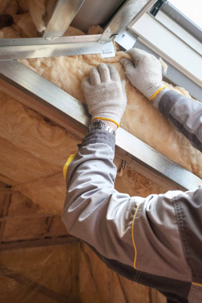 Best Insulation for Specific Applications in Lake Mary, FL